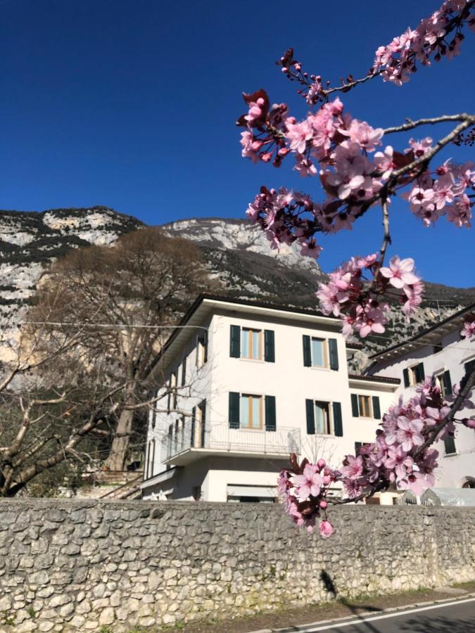 Hotel Garnì Delle Rose Ceniga Buitenkant foto