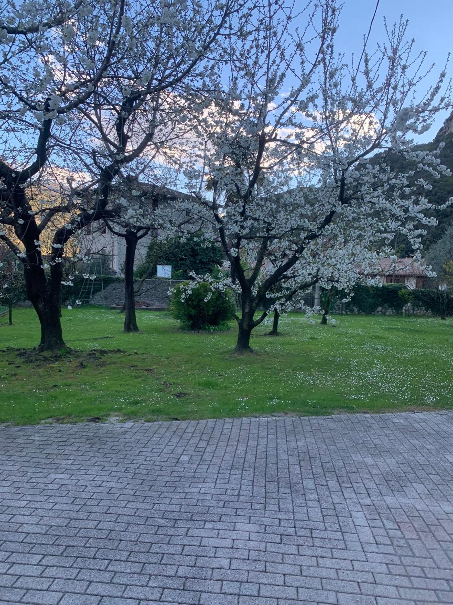 Hotel Garnì Delle Rose Ceniga Buitenkant foto